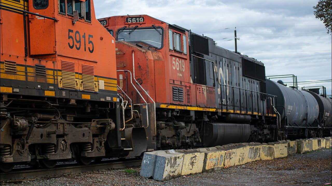 BNSF, UP, and Amtrak Trains in Stockton with CN, CSX, NS, & More!