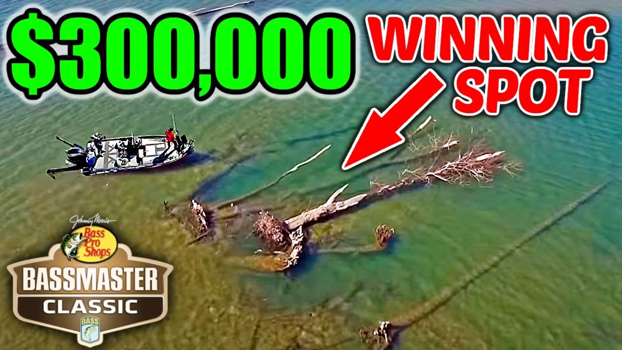 ВЫ НЕ ПОВЕРИТЕ, где пряталась рыба стоимостью 300 тысяч долларов!!