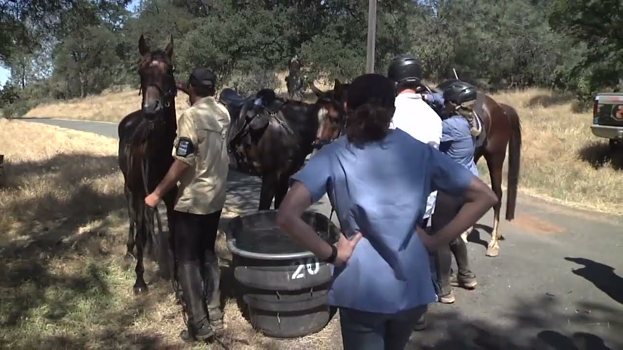 Western States Trail Tevis Cup 2011 (preride)