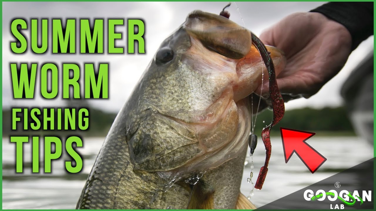 HOW TO CATCH SUMMER Time BASS ON WORMS! ( Bass Fishing Tips )
