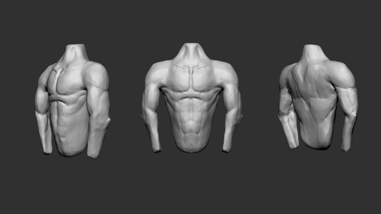 Sculpt With Me — Day 2 | Torso