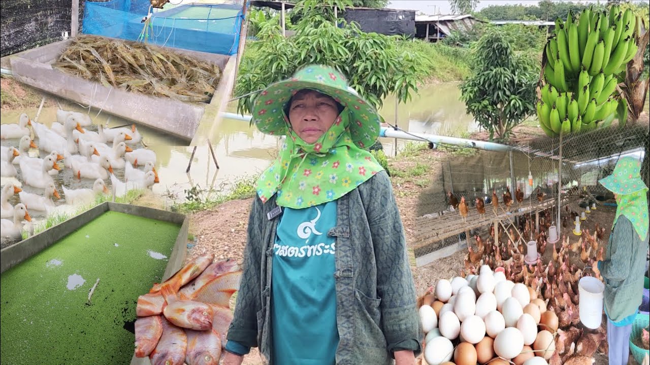 มีแต่คนหาว่า“บ้า”ทำเกษตรผสมผสานไม่ถึงปี มีรายได้ 1,000-2,000บาทต่อวันทำได้ไง??!!สุดยอดแนวทาง!!