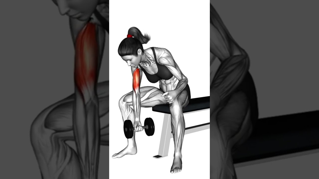BIZEPS KURZHANTEL &Uuml;BUNGEN #bizeps #armtraining  #muskelaufbautipps #trainingstipps #trainingsplan