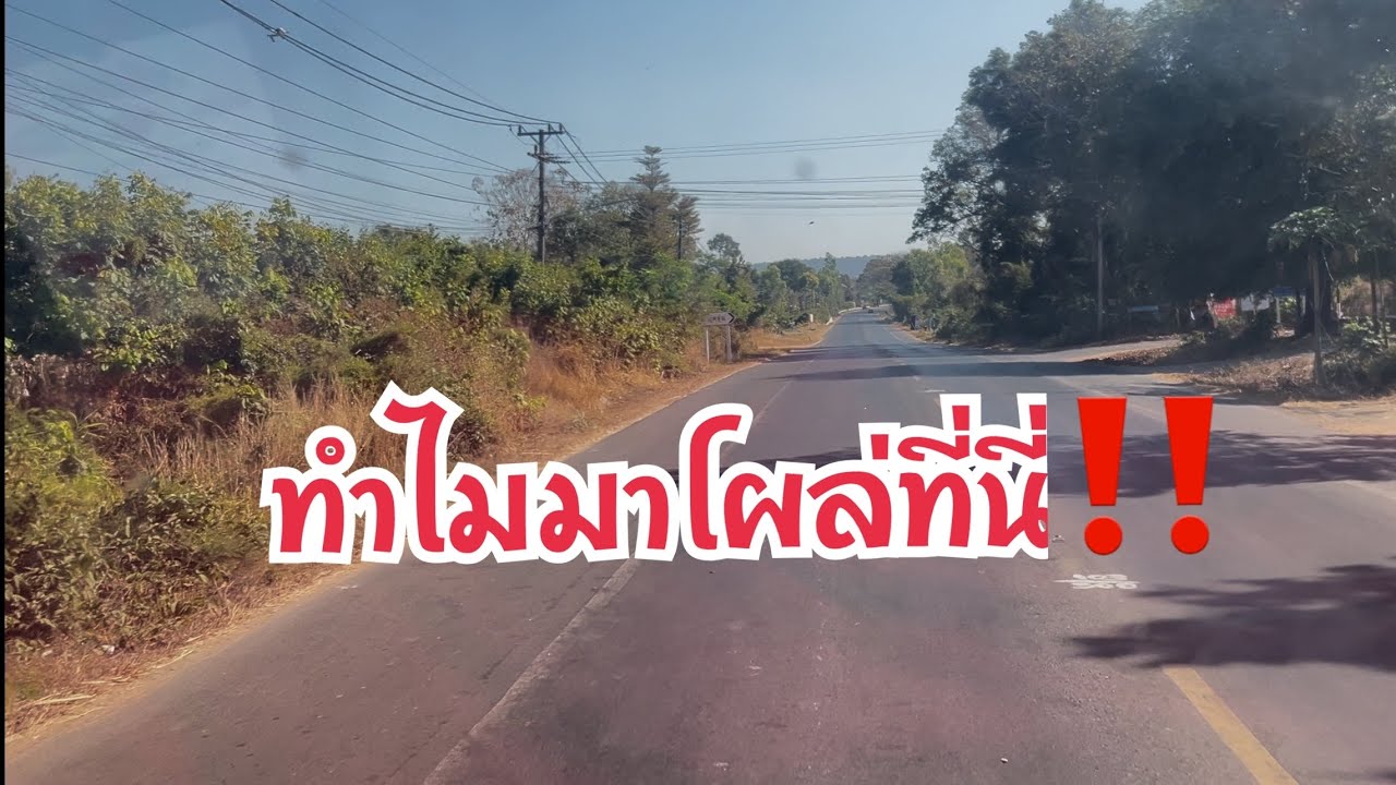 บอลเลือกใชเส้นไหนในการเดินทางวันนี้‼️ #อุ๋งอิ๋งเพชรบ้านแพง #สาวน้อยเพชรบ้านแพง 