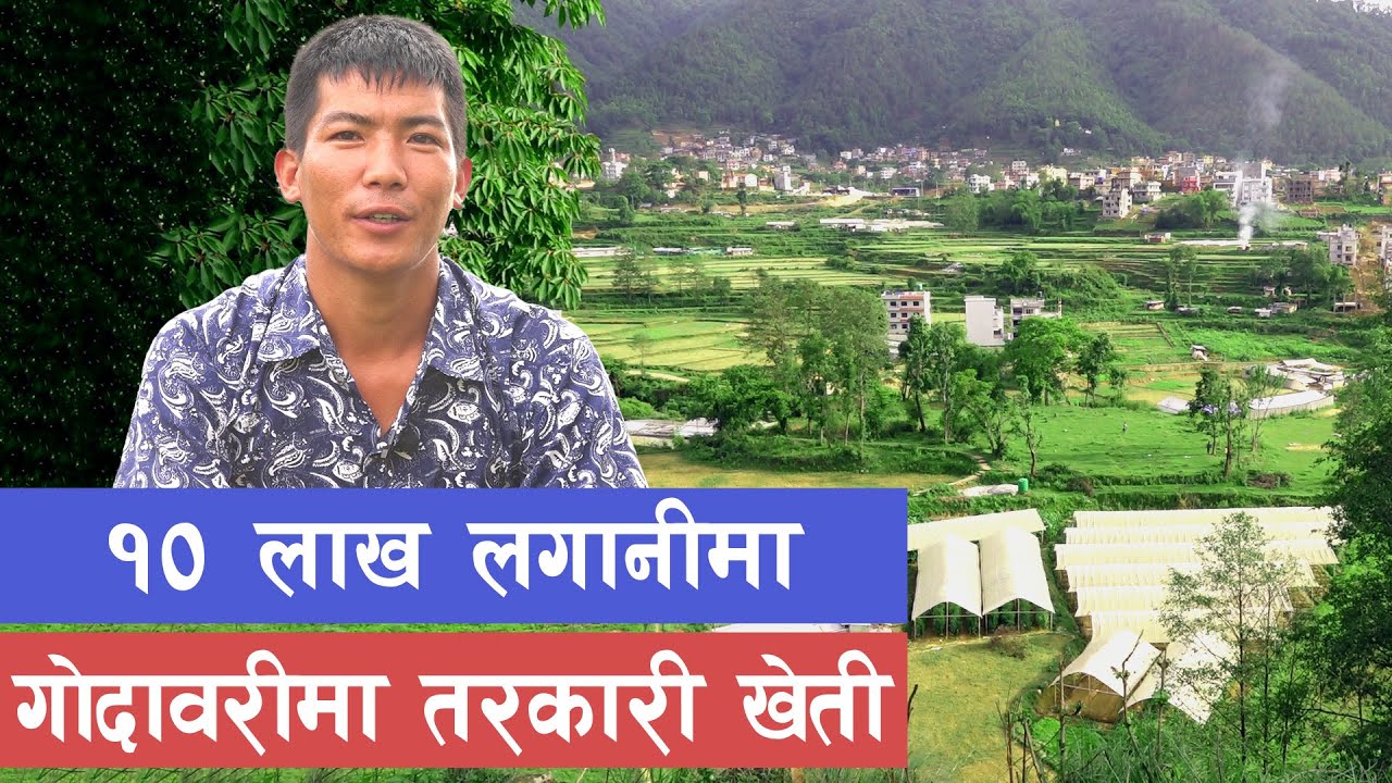 जे छ तरकारी खेतीमै छ || Agriculture in Nepal ||