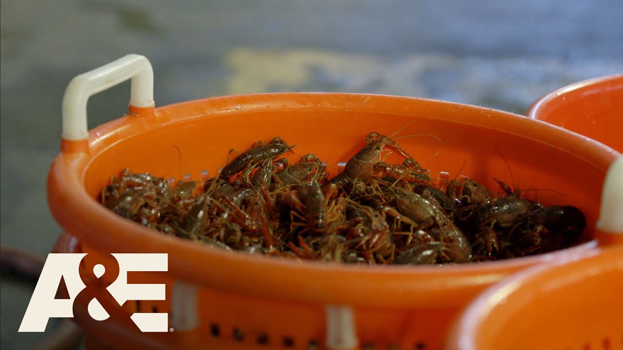 Nightwatch: Bonus: Firemen's Crawfish Boil | A&E