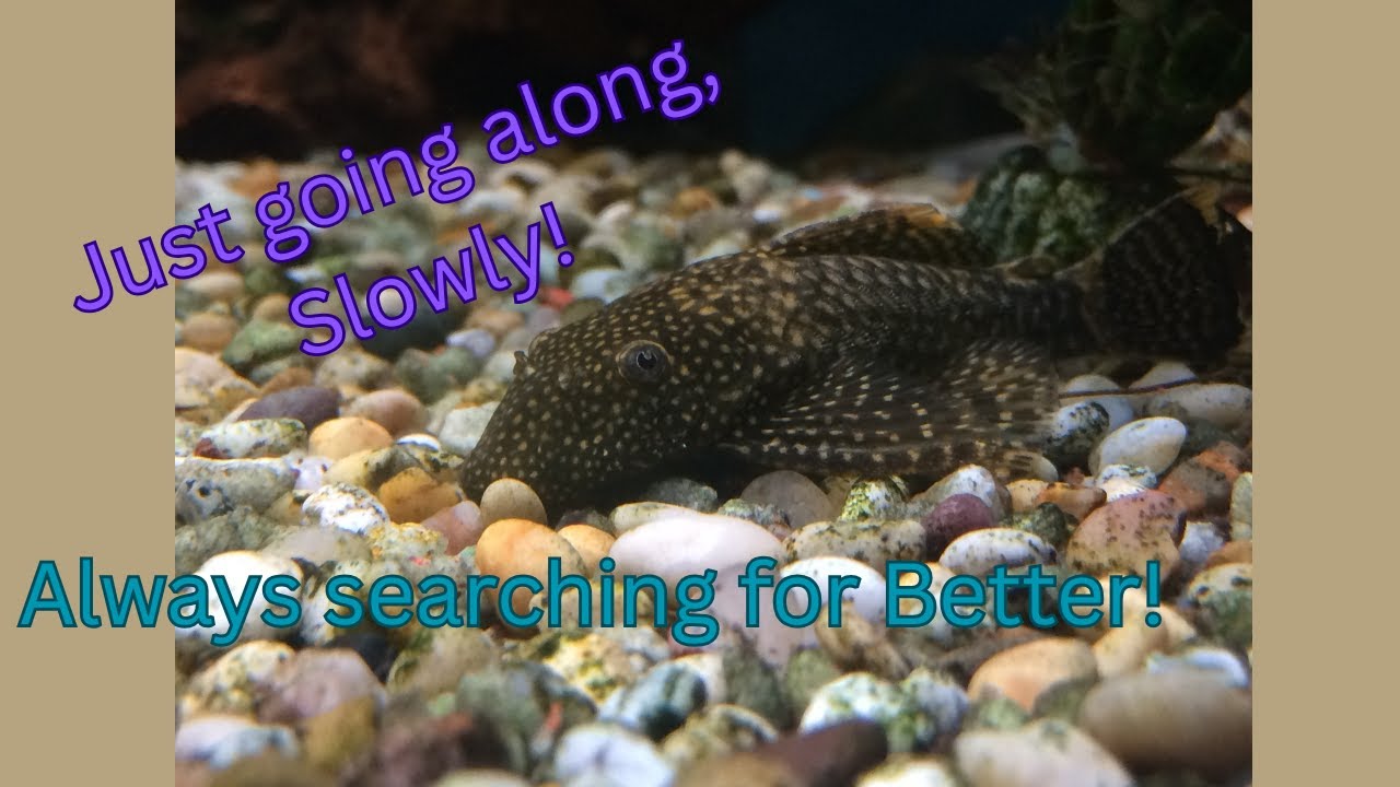 A Few Observations!