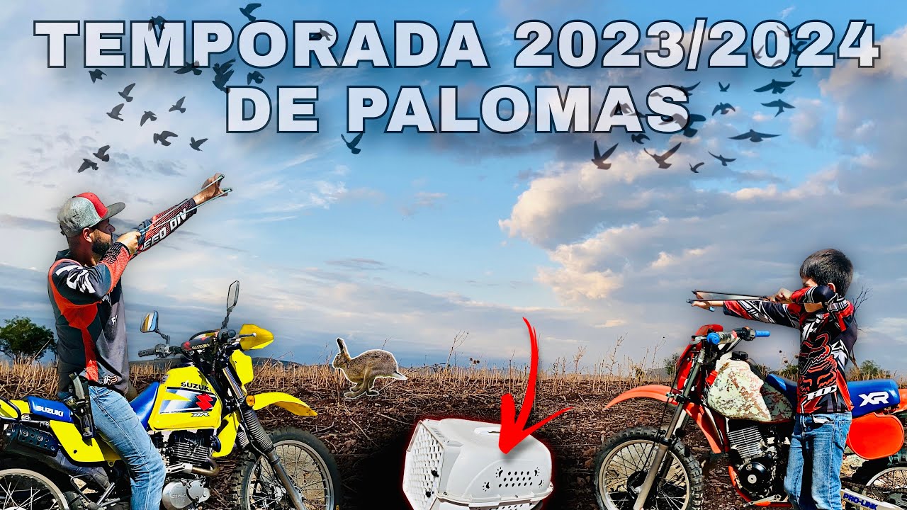 Recorriendo los TERRENOS DE CACERIA // Temporada de PALOMAS 2023/2024 QUE NOS ESPERA‼️