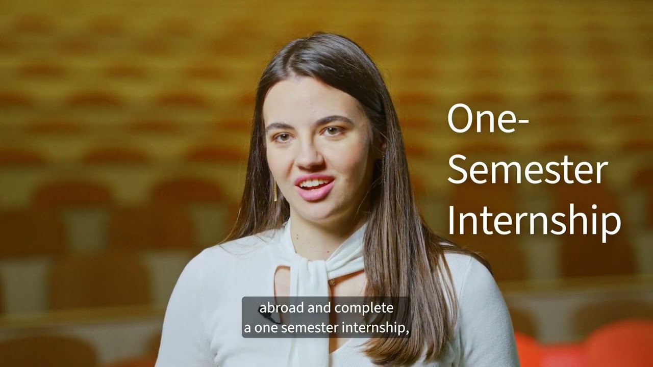 Discover the Bachelor's in International Business