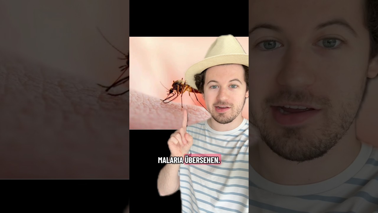 Wir haben fast 1.600 Jahre lang ein Heilmittel gegen Malaria &uuml;bersehen.