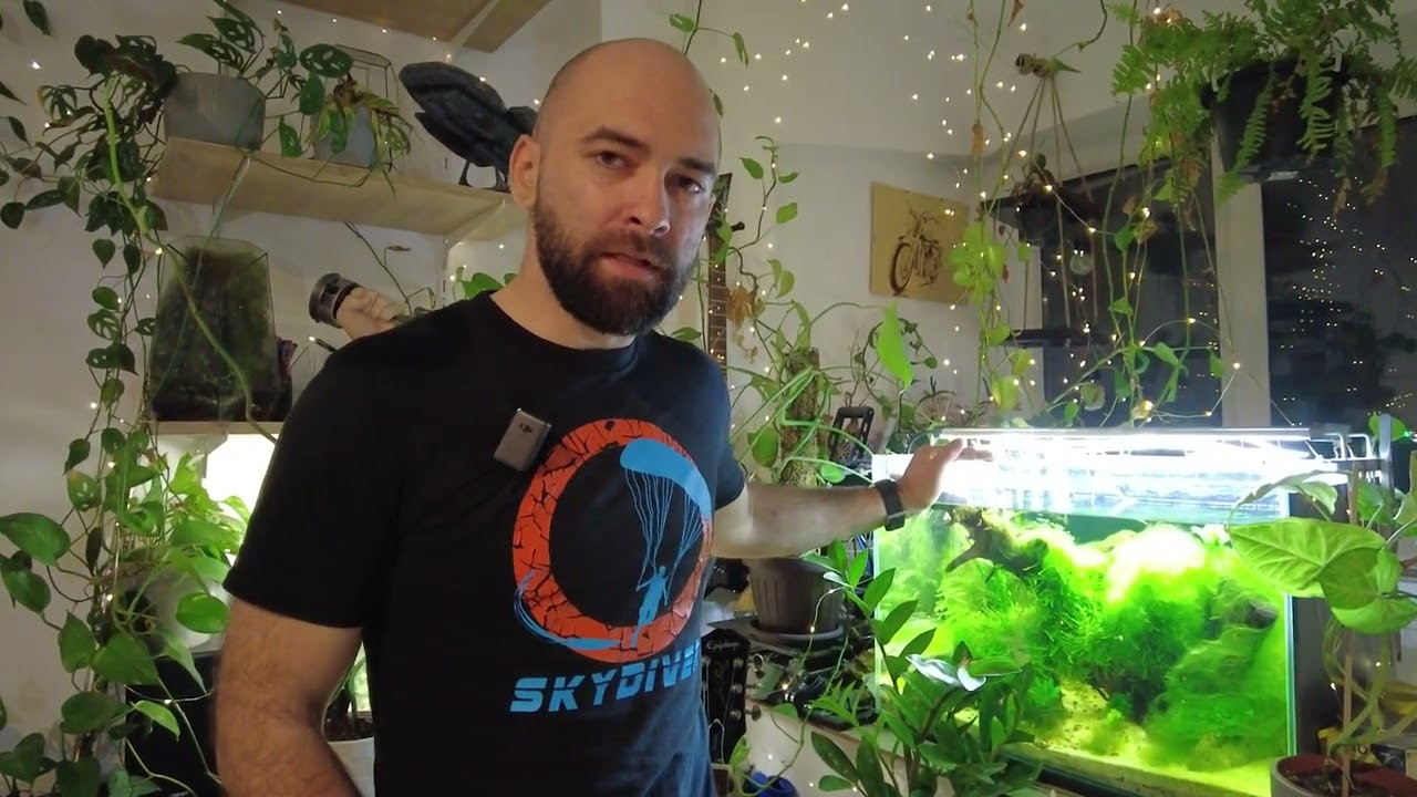 Vlad Rotaru, pasionat de animale exotice de mici dimensiuni: Pot să creez un ecosistem în miniatură