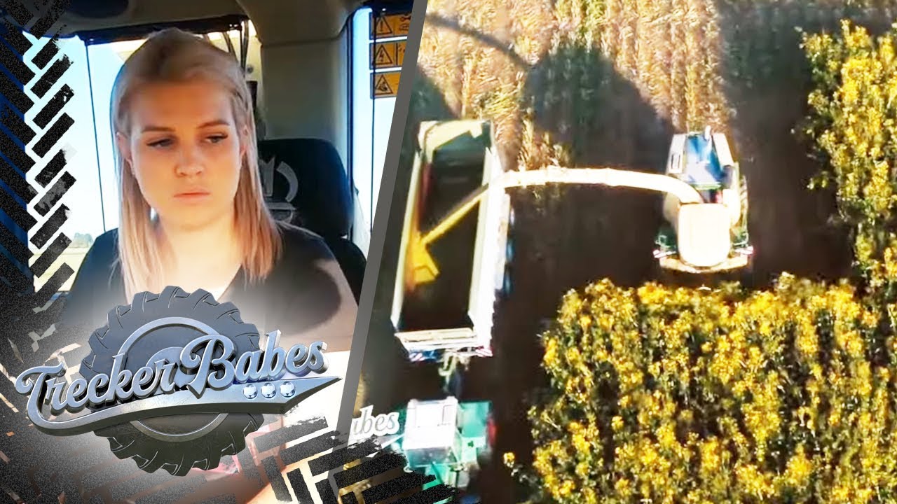 Das erste Mal 1100 PS Häcksler fahren: Wie stellt Resi sich an? | Trucker Babes | Kabel Eins
