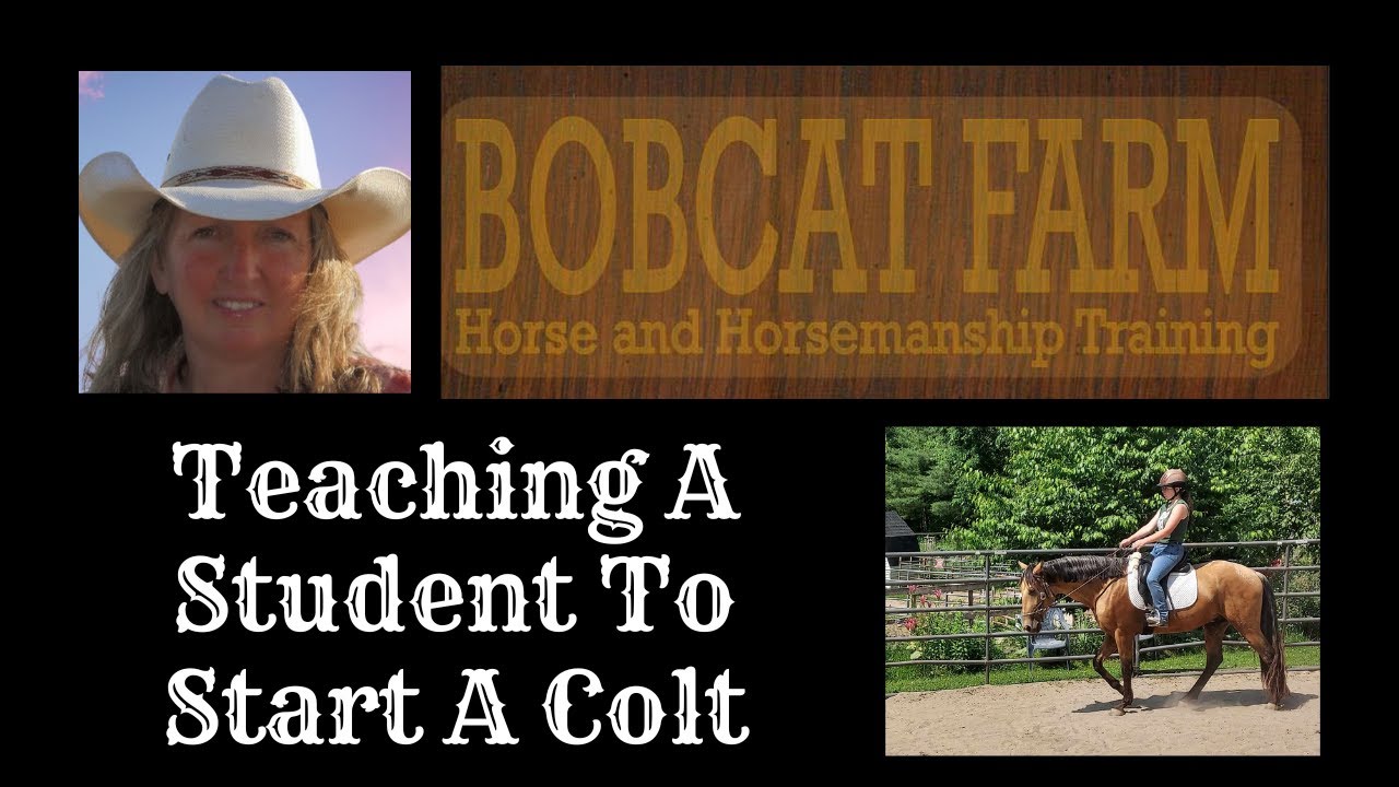 Teaching A Student To Start A Colt