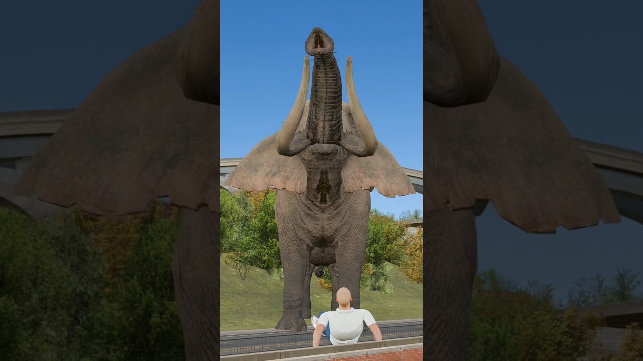 Как пережить нападение слона?