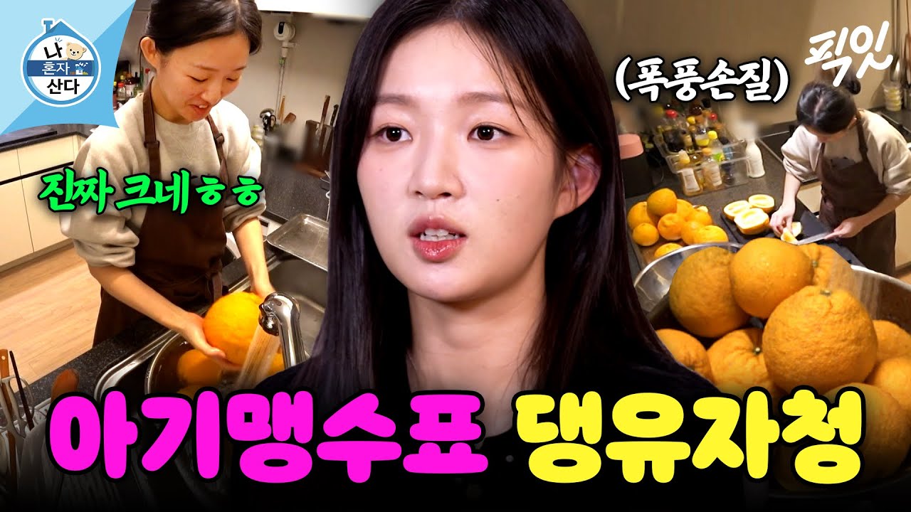 [나혼자산다] 수제 댕유자청 담그고 경동시장 나물 쇼핑 떠난 아기맹수 김시현 셰프 일상 MBC260213방송 #나혼산 #아기맹수