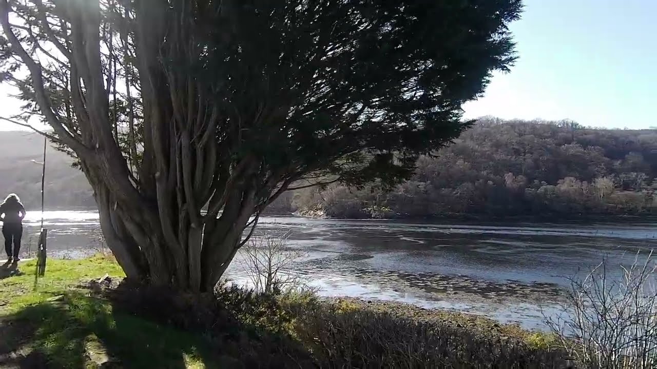 A morning walk by Loch Eil 