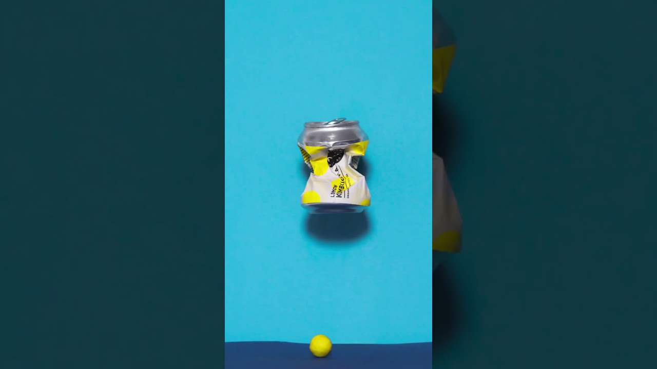 Roykombucha Stopmotion