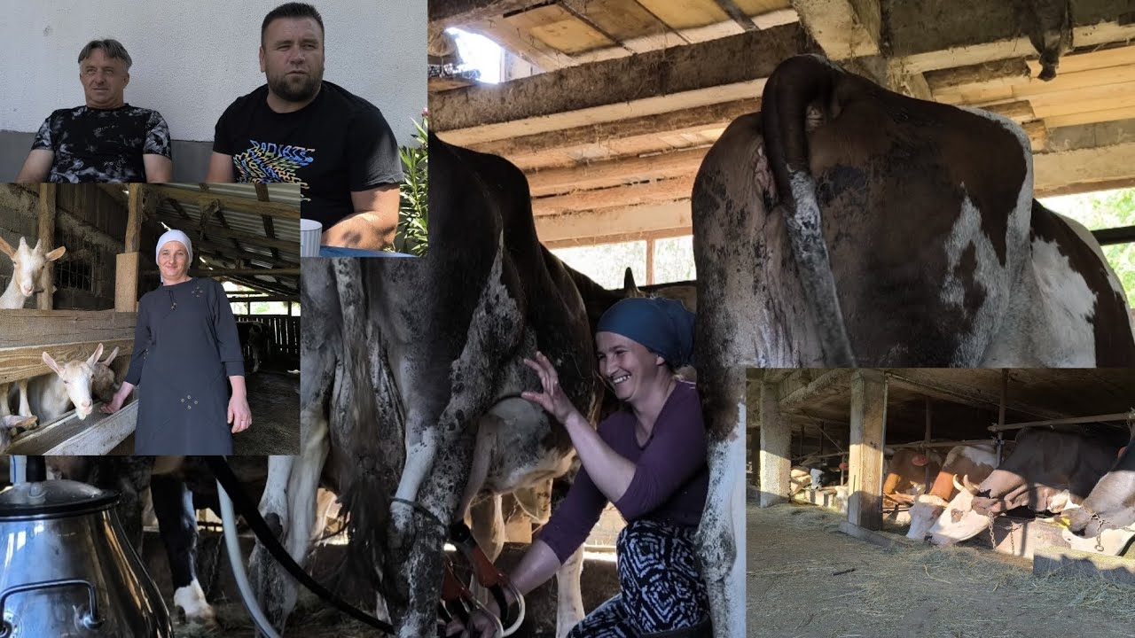 Zajedno u svemu-Porodična farma, četvero djece i velika snaga dvoje ljudi iz Pepelara ♥️