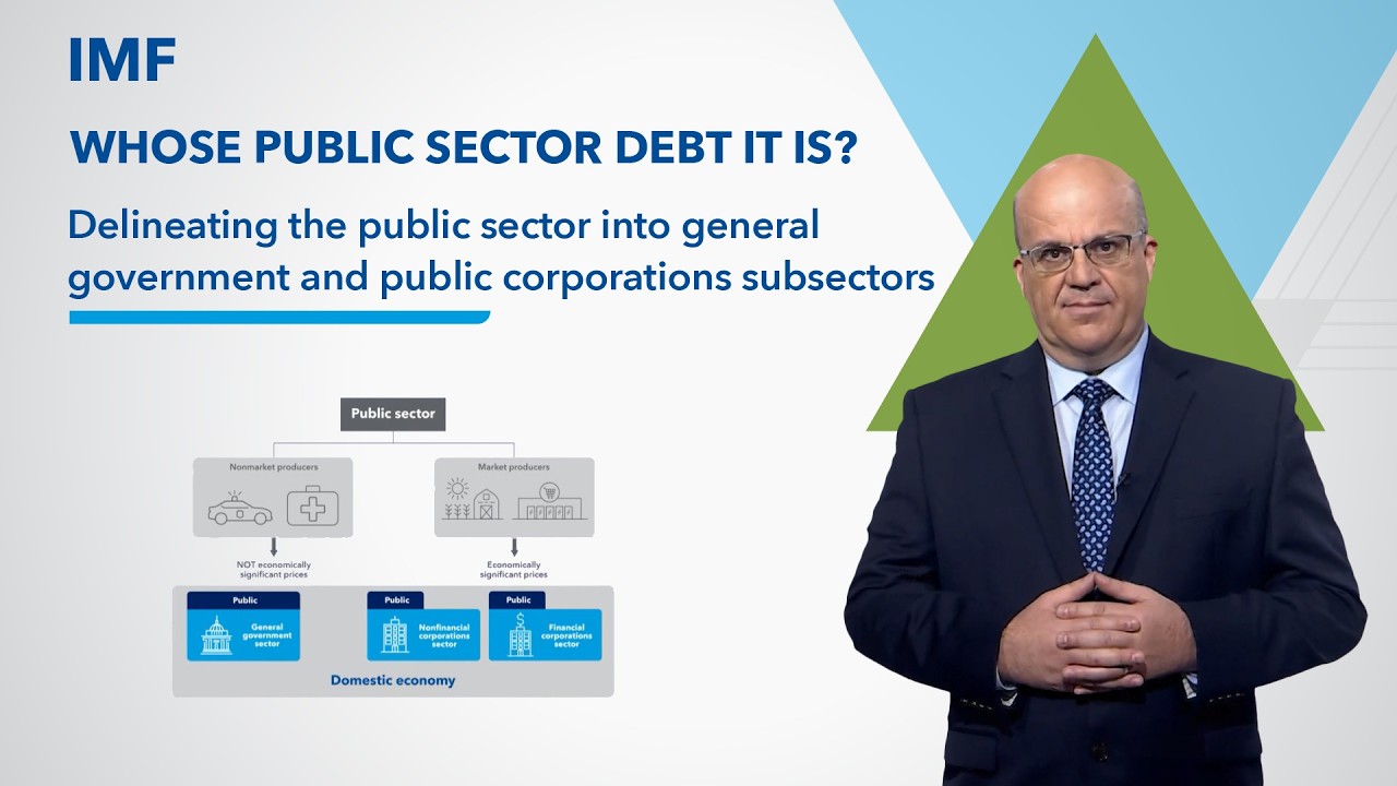 Delineating the public sector into general government and public corporations subsectors