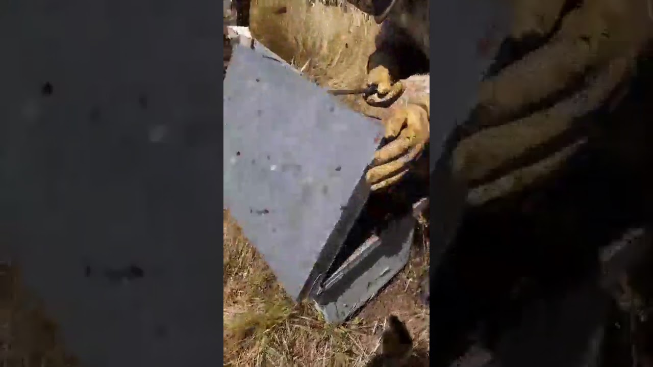 جني عسل النحل التلي نحال مغربي في اسبانيا