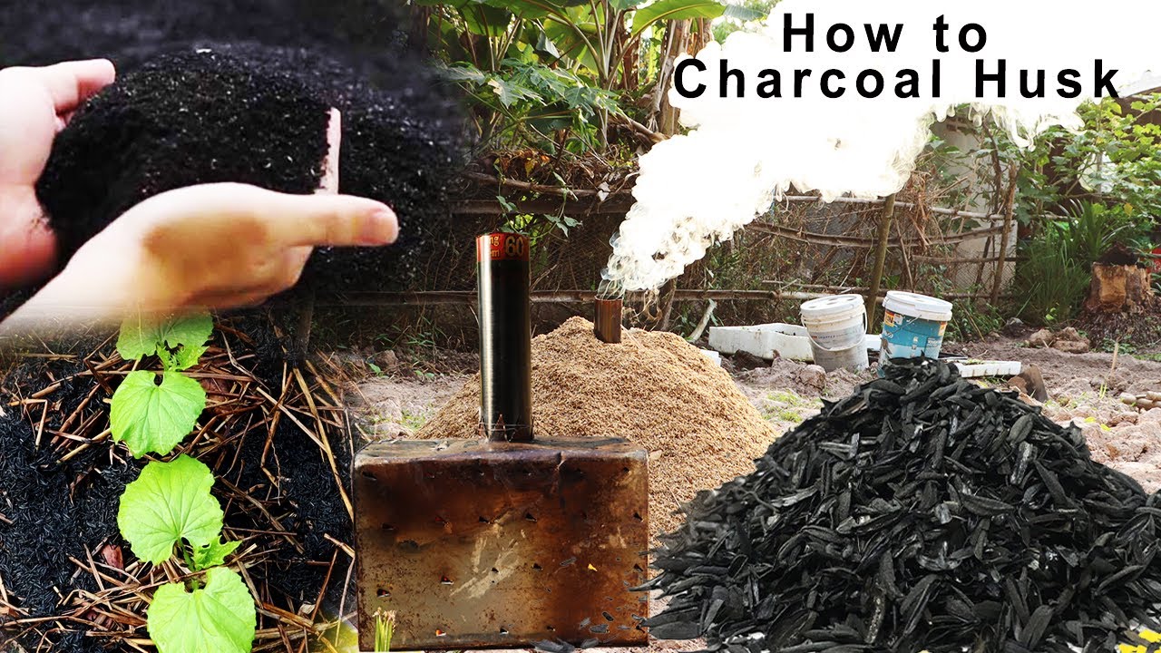 How to burn rice husk charcoal Many crops used and have high yields