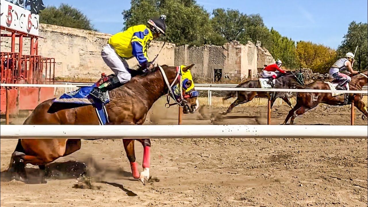 Que Paso Aquí?!! | Futurity 2024 De Tapias Race Track.