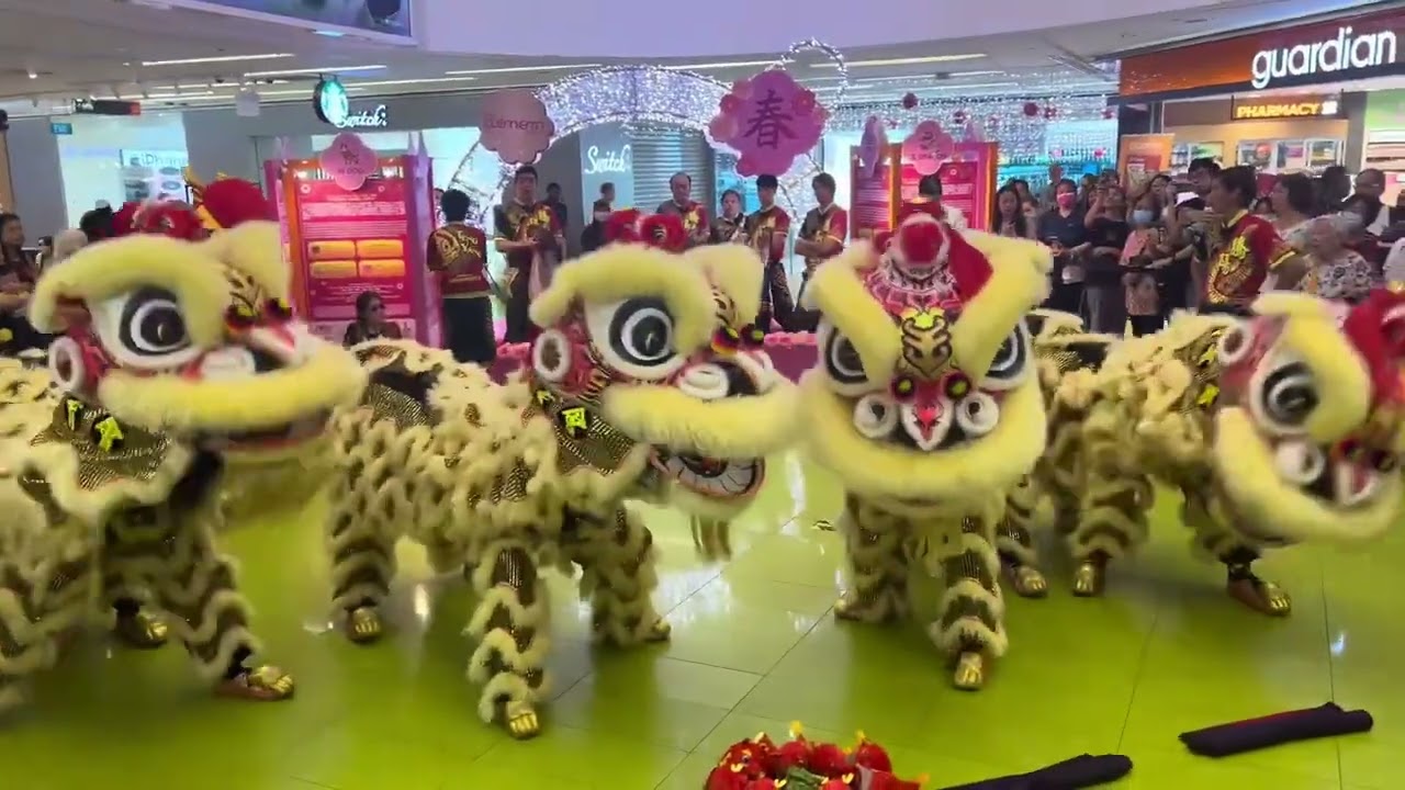 ULTIMATE LION DANCE PERFORMANCE AT CLEMENTI SHOPPING MALL SINGAPORE 🇸🇬 |CHINESE NEW YEAR 2025 VIDEO