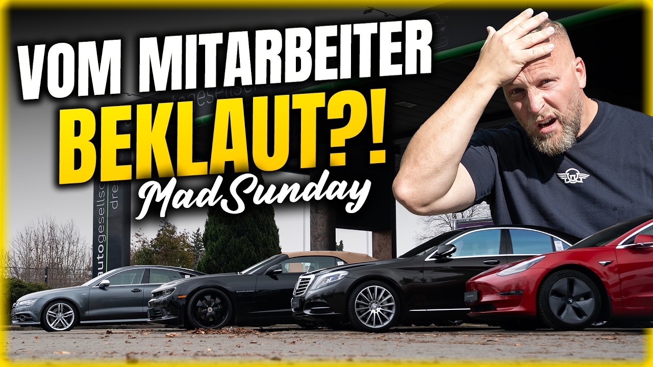 SCHLECHTE Menschen & Fehlende KOMPETENZ? Druck erzeugt GEGENDRUCK! Realtalk über PLEITE & Scheitern!