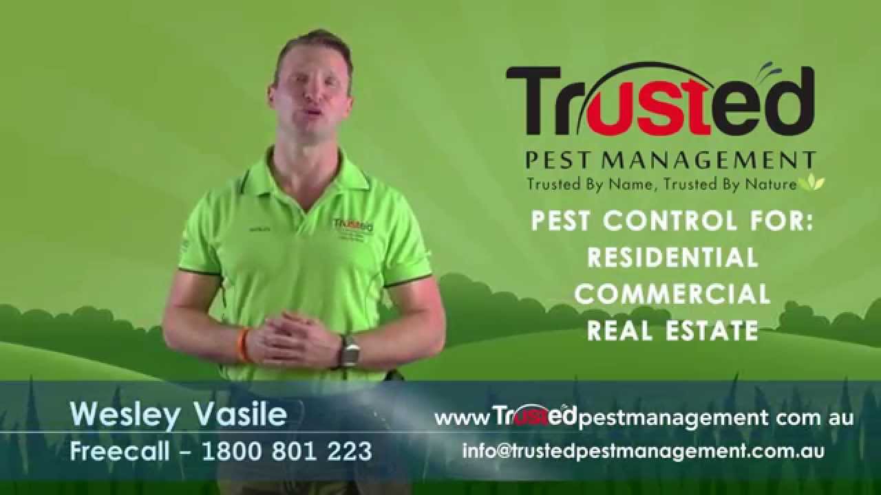 Trusted Pest Management - Wesley