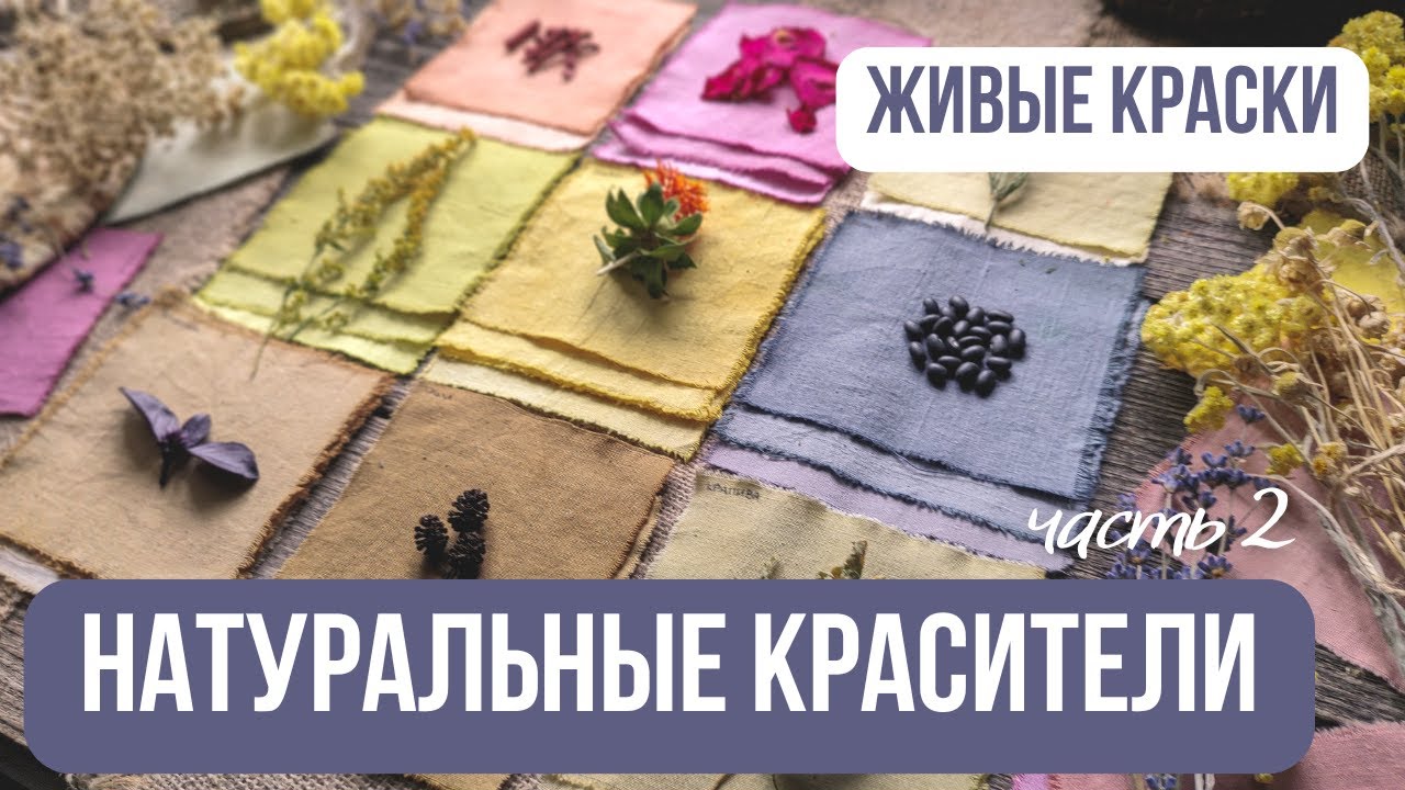 Окрашивание тканей натуральными красителями🎨| Красим ткани растениями | Эко-крашение