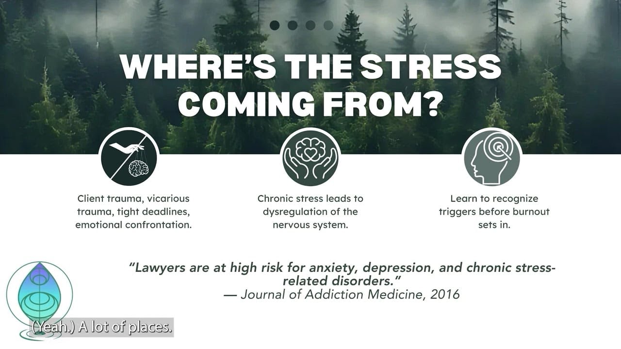 Building Resilience in the Legal Profession