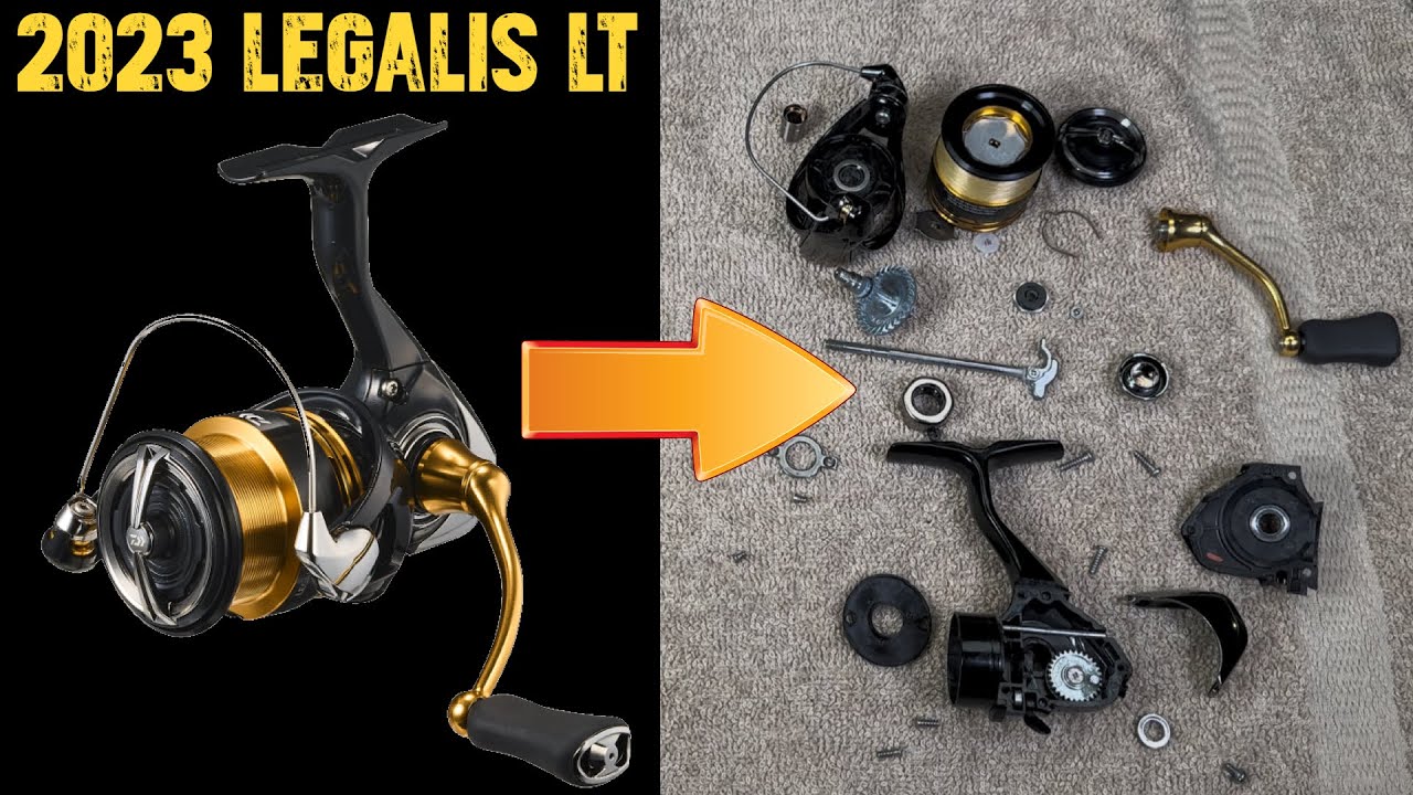 2023 LEGALIS LT: The Undisputed Budget King Got Even Better!