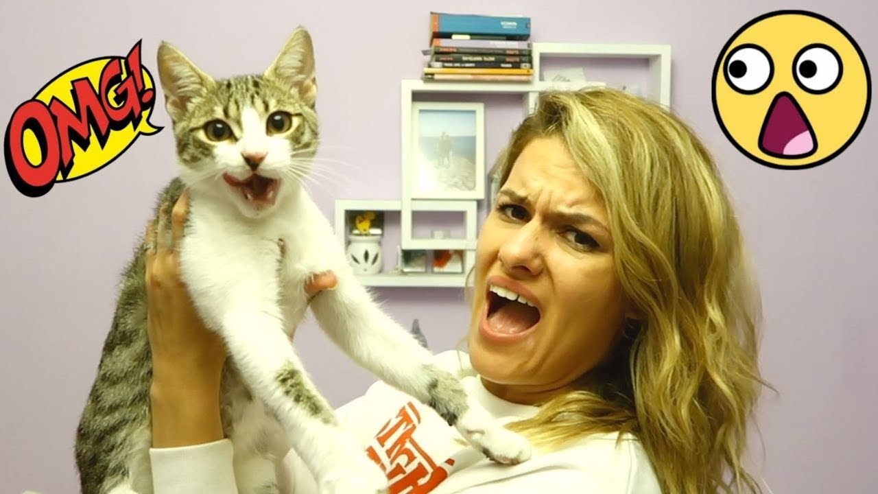 OMG pa kud baš nama?!?!