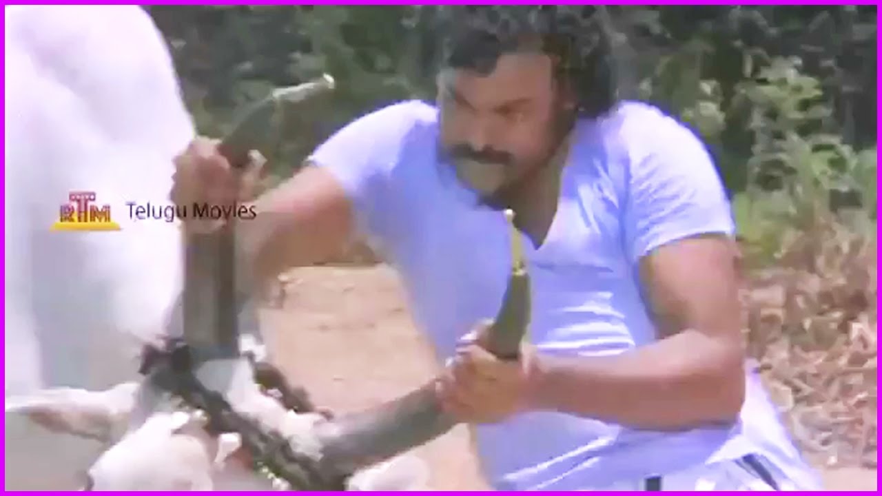 Chiranjeevi Extraordinary Fight With Bull | Punnami Naagu Telugu Movie Scene