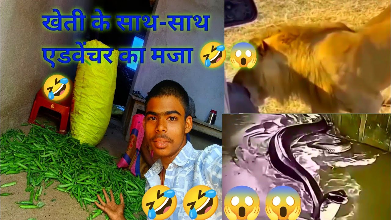खेती के साथ साथ एडवेंचर का मजा देखकर हो जाएंगे हैरान 😱🤣🤣#vlog#vloggong#khet#kheti#adventure 