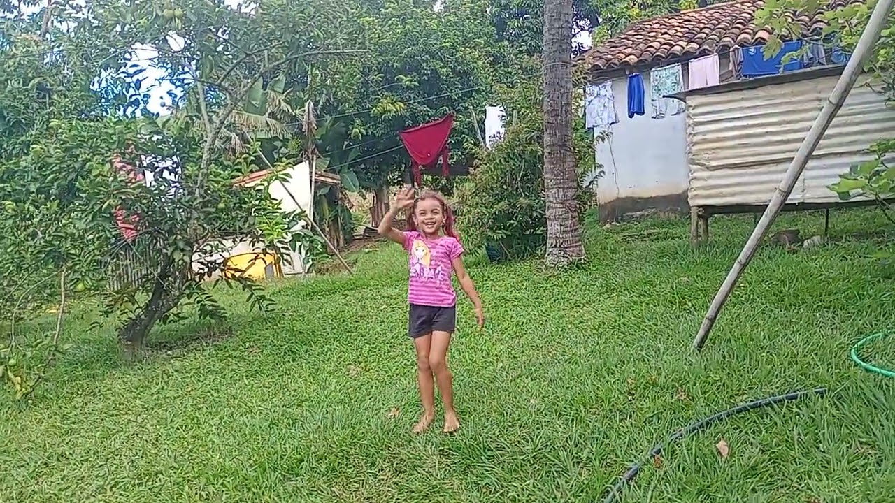 17 de fevereiro de 2026