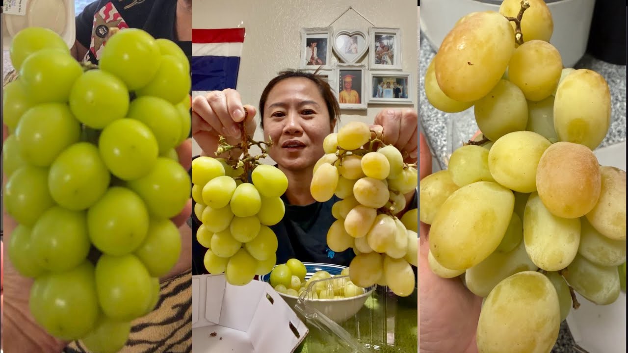 องุ่นไชน์มัสแคทกับองุ่นแคนดี้[cotton candy grapes]เข้าใจผิดนึกว่ากลิ่นหอมเหมือนกัน แต่ไม่เหมือนค่ะ😅