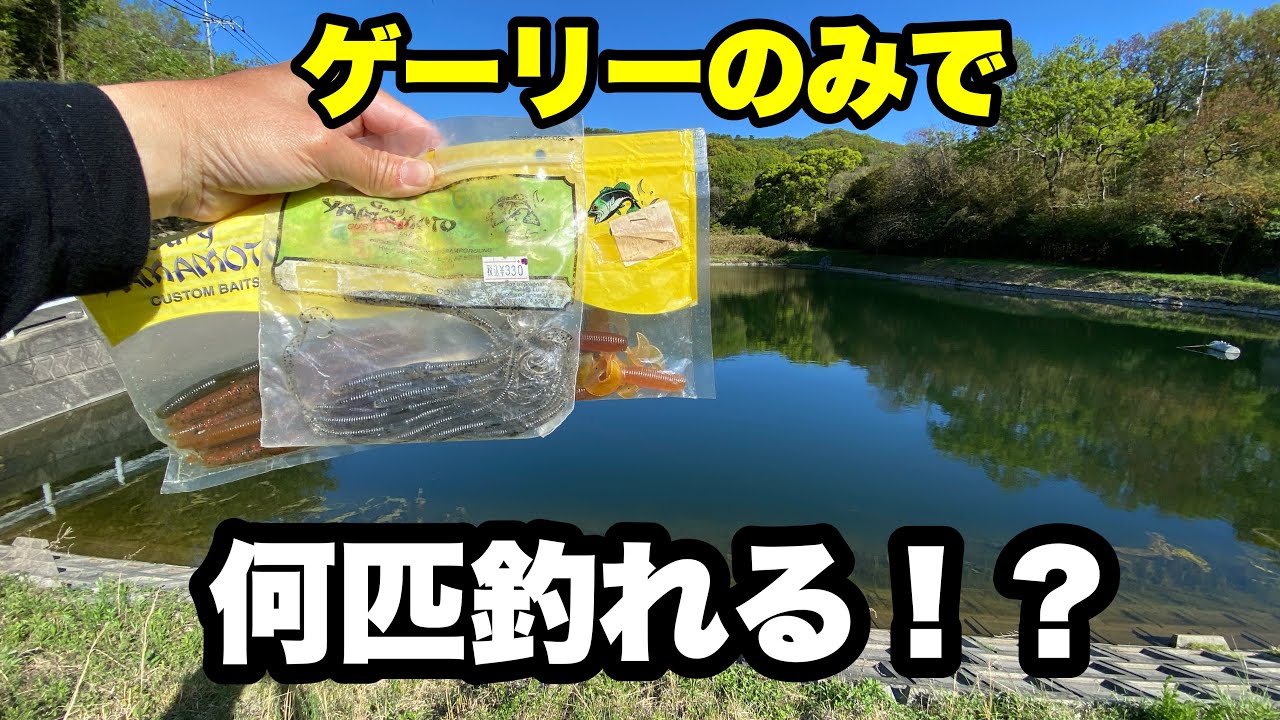 一つの池をゲーリーだけ使って攻略してみたら何匹釣れるのか検証してみました