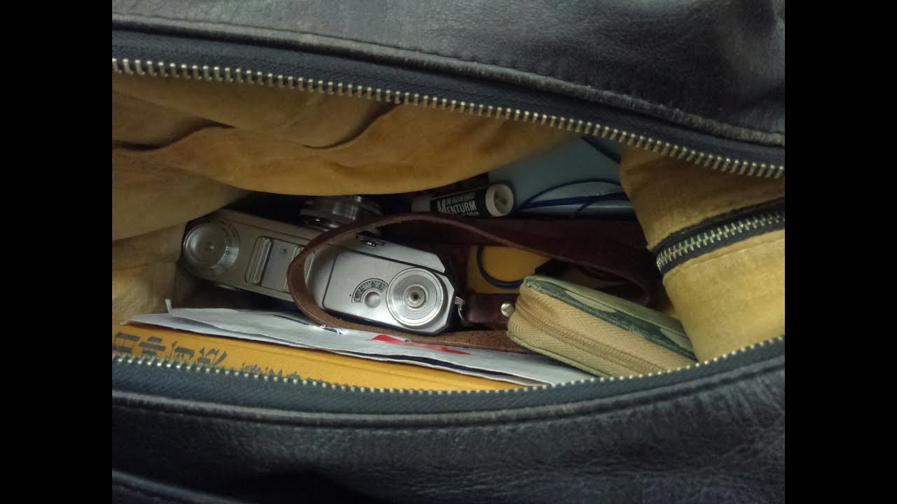 The old Contax II in my bag