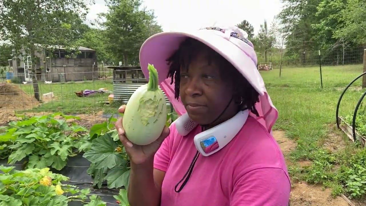 We Can't Let Them Destroy Our Garden