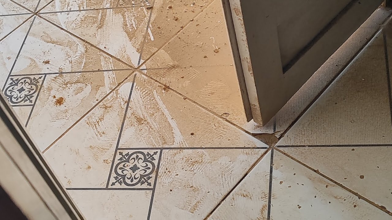 Venha ver a mudança da loja 