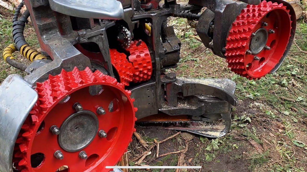 10 гектар санитарной рубки,приехали новые вальцы