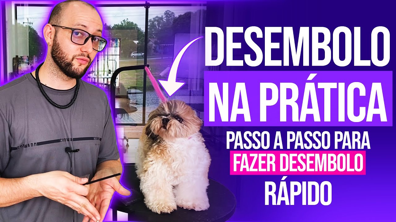 Desembolo na prática passo a passo para fazer desembolo rápido - Junior Borja