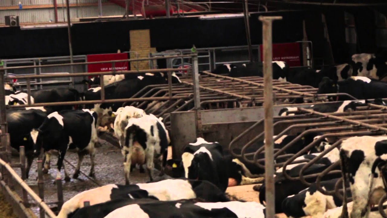 Ejsingkjær Productionfilm Danish Agriculture