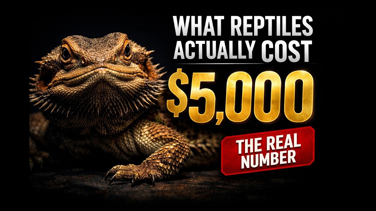 What Reptiles Actually Cost (The Real Numbers)