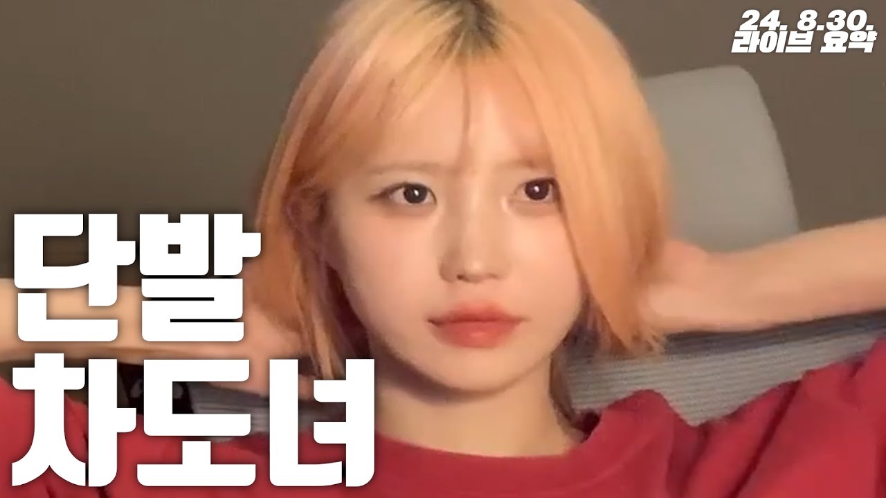 귀여운 것들의 전성시대 [프로미스나인 송하영 이나경]