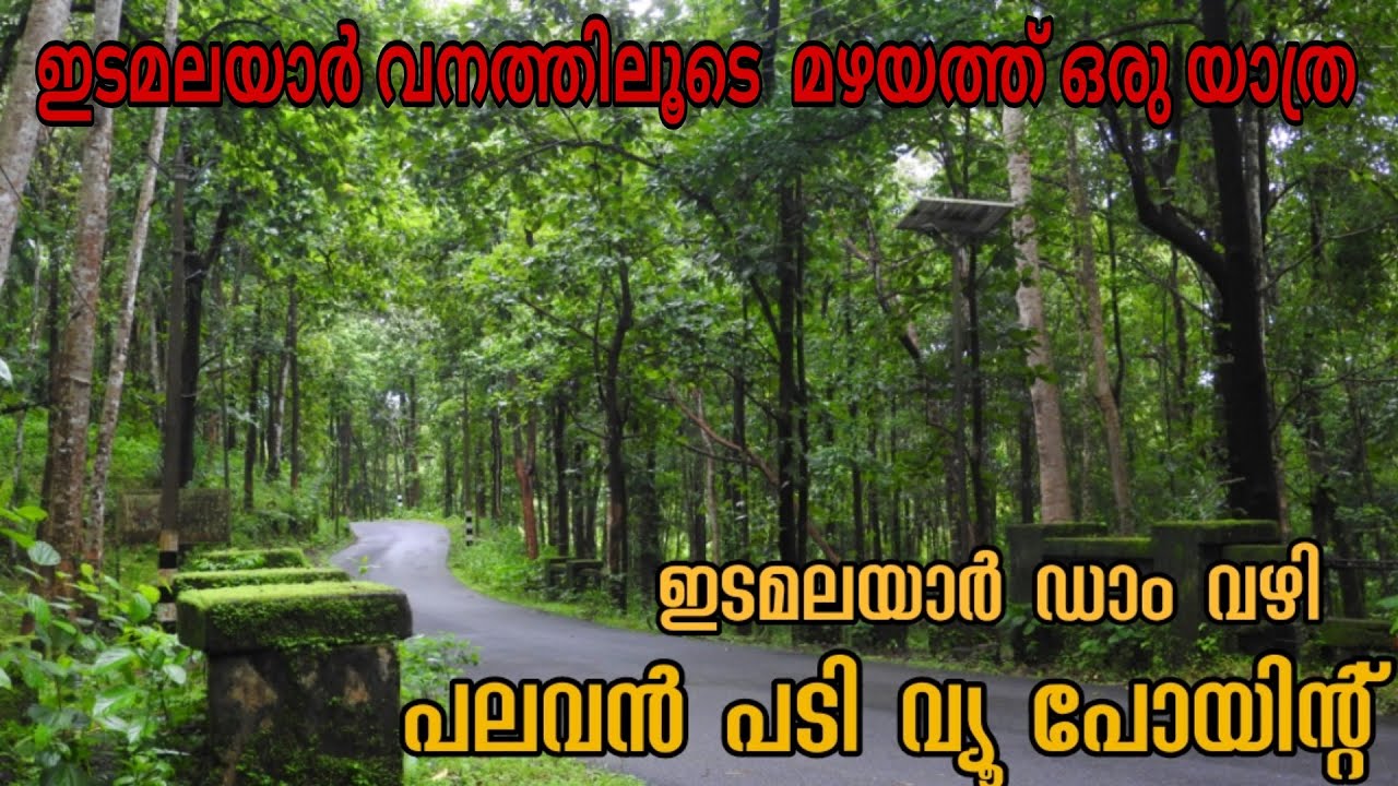 കാടിനുള്ളിലെ വ്യൂ പോയൻ്റ് | Hidden View point in Forest | Edamalayar Dam @ArunkumarPurakkattu