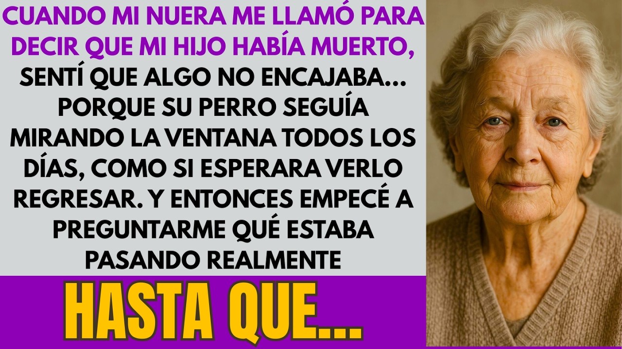 Mi nuera dijo que MI HIJO ESTABA MUERTO… pero su PERRO seguía esperando en la ventana, como si sup..