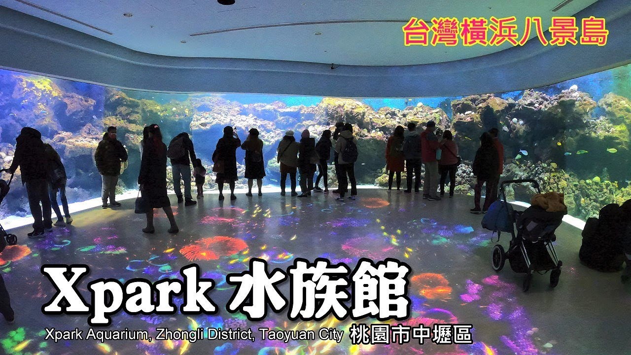 台灣橫濱八景島～桃園Xpark水族館，超療癒的旅程!!!