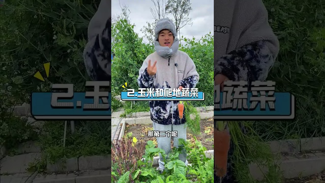 Which vegetables can be intercropped in spring